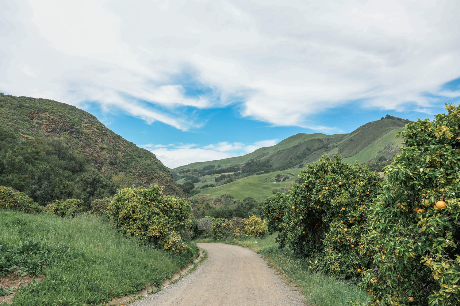 Epitath for Small Farms