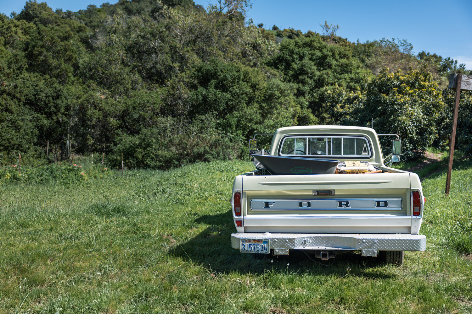 Stardust Summer Playlist Vol#1