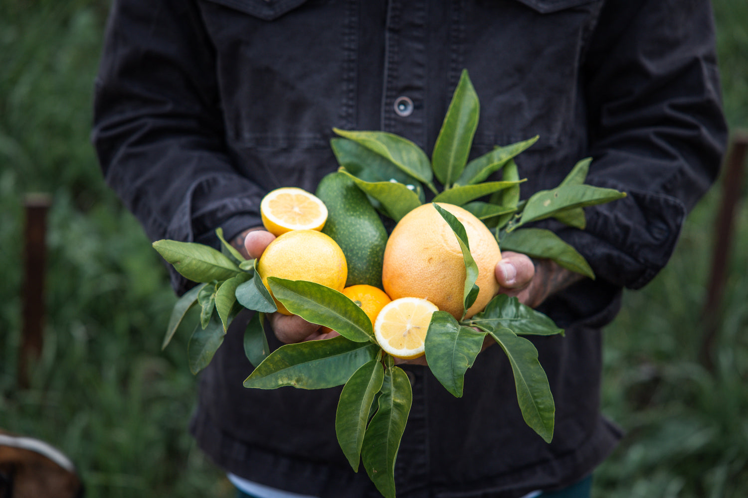 Five Minute Morning Meditation